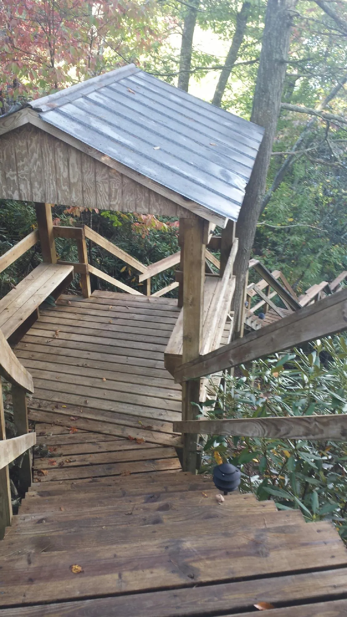 Metal roofed shelter over wooden steps on a wooded walkway — Skylight Repair & Installation work by our crew in Camby