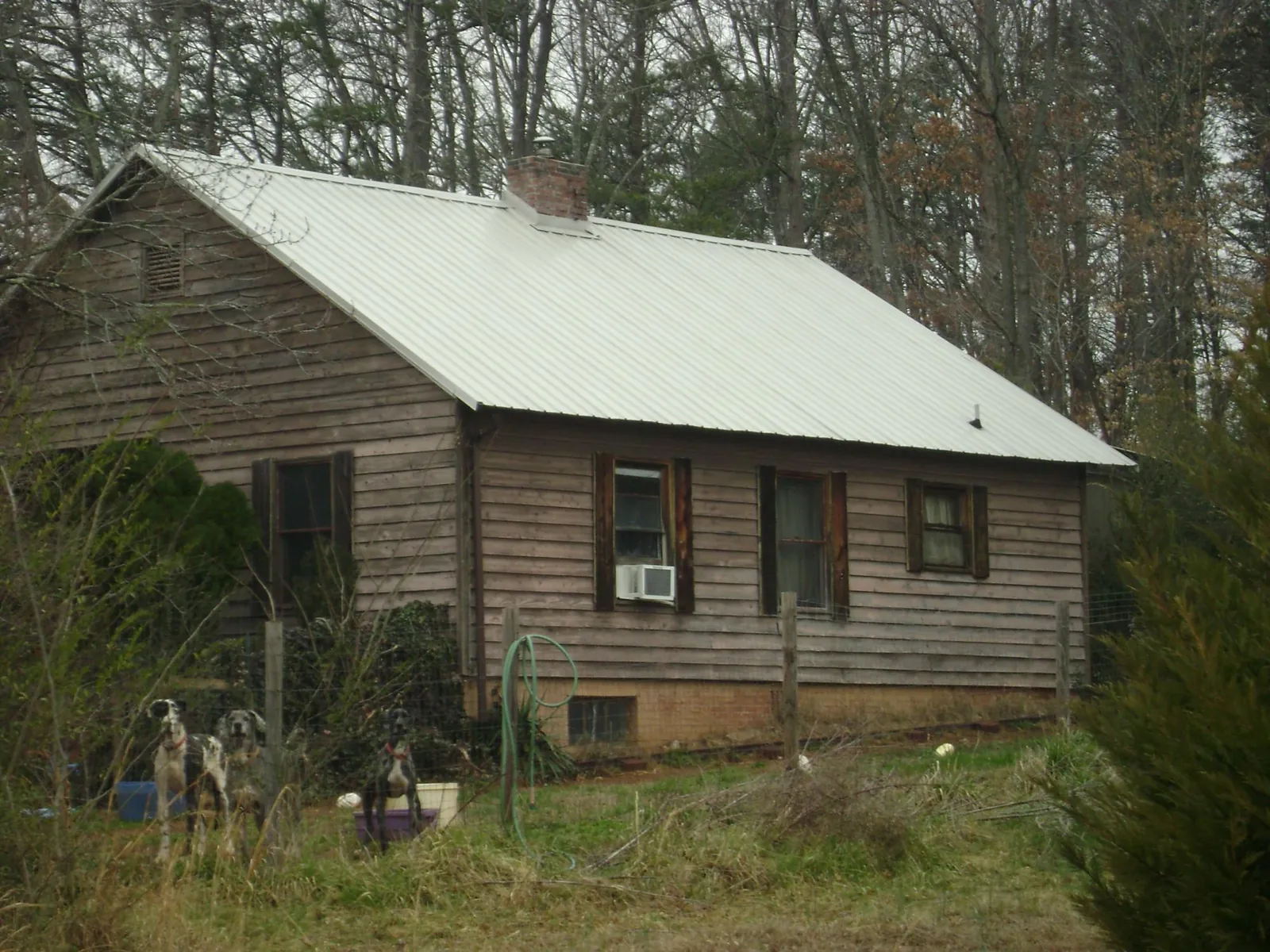 White metal roof on an old wood sided farmhouse, from a Asphalt Shingle Roof Repair job in Camby